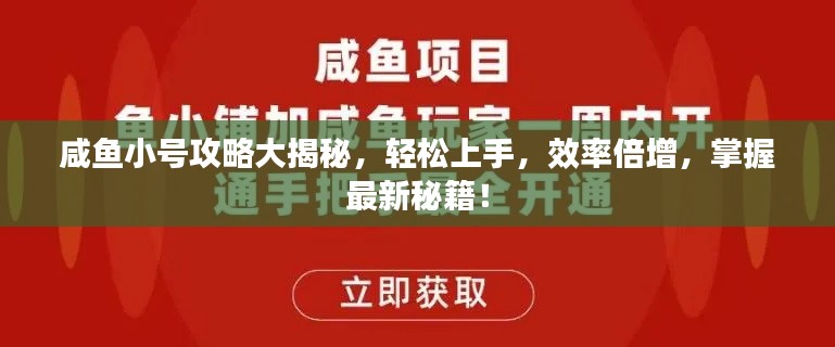 咸鱼小号攻略大揭秘,轻松上手,效率倍增,掌握最新秘籍!