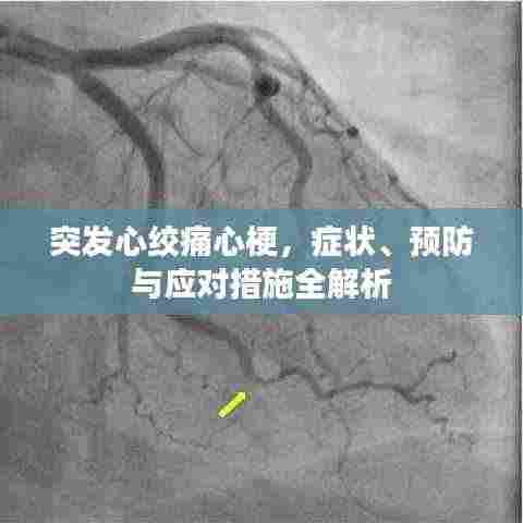 突发心绞痛心梗,症状、预防与应对措施全解析