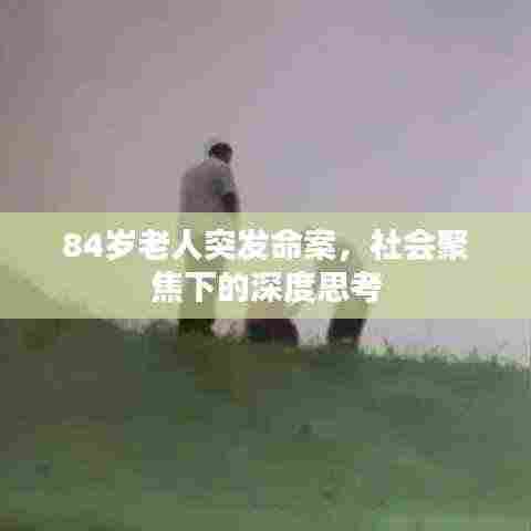 84岁老人突发命案，社会聚焦下的深度思考