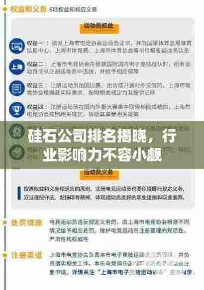 硅石公司排名揭晓，行业影响力不容小觑
