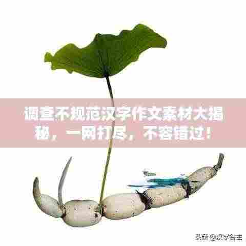 调查不规范汉字作文素材大揭秘，一网打尽，不容错过！