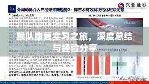 跟队康复实习之旅，深度总结与经验分享