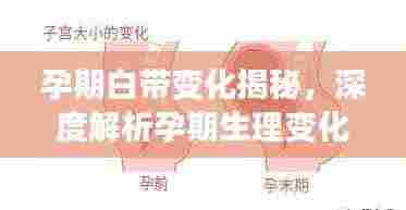 孕期白带变化揭秘，深度解析孕期生理变化