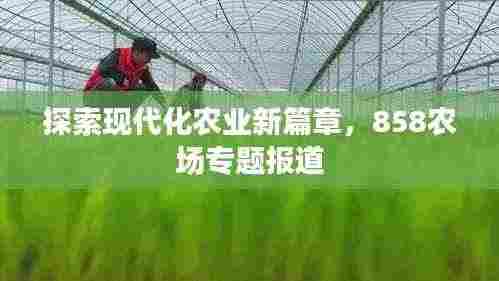 探索现代化农业新篇章，858农场专题报道