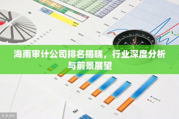 海南审计公司排名揭晓，行业深度分析与前景展望