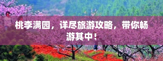 桃李满园,详尽旅游攻略,带你畅游其中!