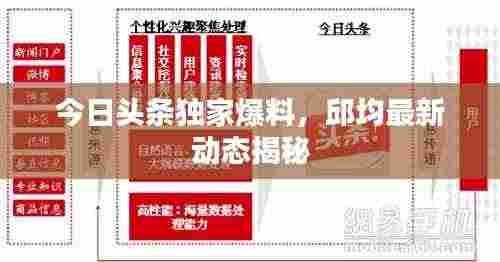 今日头条独家爆料，邱均最新动态揭秘