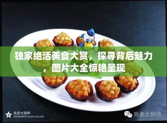 百鸟齐鸣 第3页