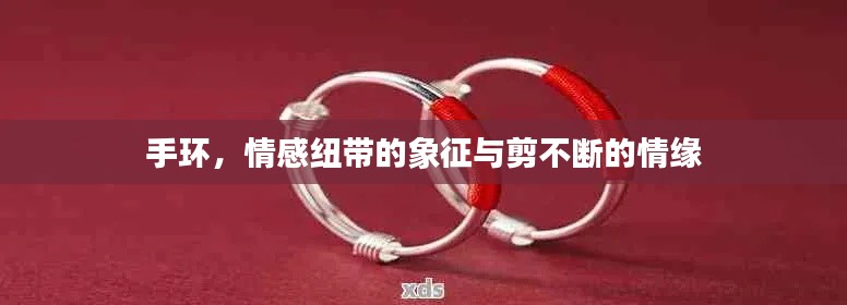 手环，情感纽带的象征与剪不断的情缘