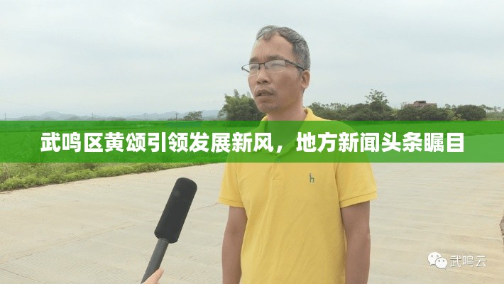武鸣区黄颂引领发展新风,地方新闻头条瞩目