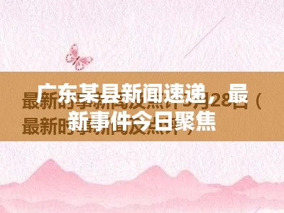 广东某县新闻速递,最新事件今日聚焦