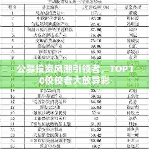 公募投资风潮引领者,TOP10佼佼者大放异彩