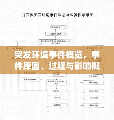 突发环境事件概览,事件原因、过程与影响概述