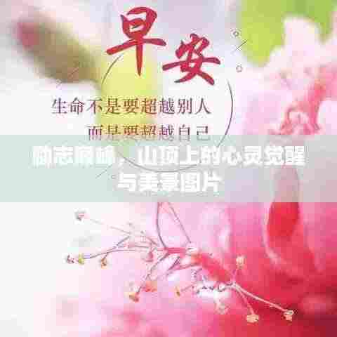 励志巅峰,山顶上的心灵觉醒与美景图片