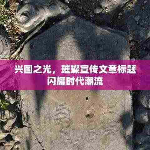 兴国之光，璀璨宣传文章标题闪耀时代潮流