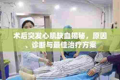 阳春白雪 第2页