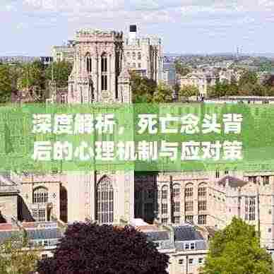 深度解析，死亡念头背后的心理机制与应对策略