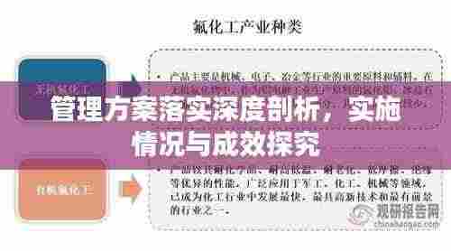 管理方案落实深度剖析,实施情况与成效探究