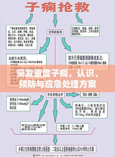 突发重度子痫,认识、预防与应急处理方案