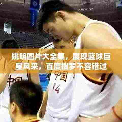 姚明图片大全集,展现篮球巨星风采,百度搜罗不容错过