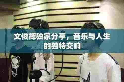 文俊辉独家分享,音乐与人生的独特交响