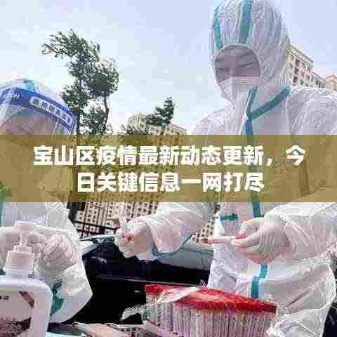 宝山区疫情最新动态更新，今日关键信息一网打尽